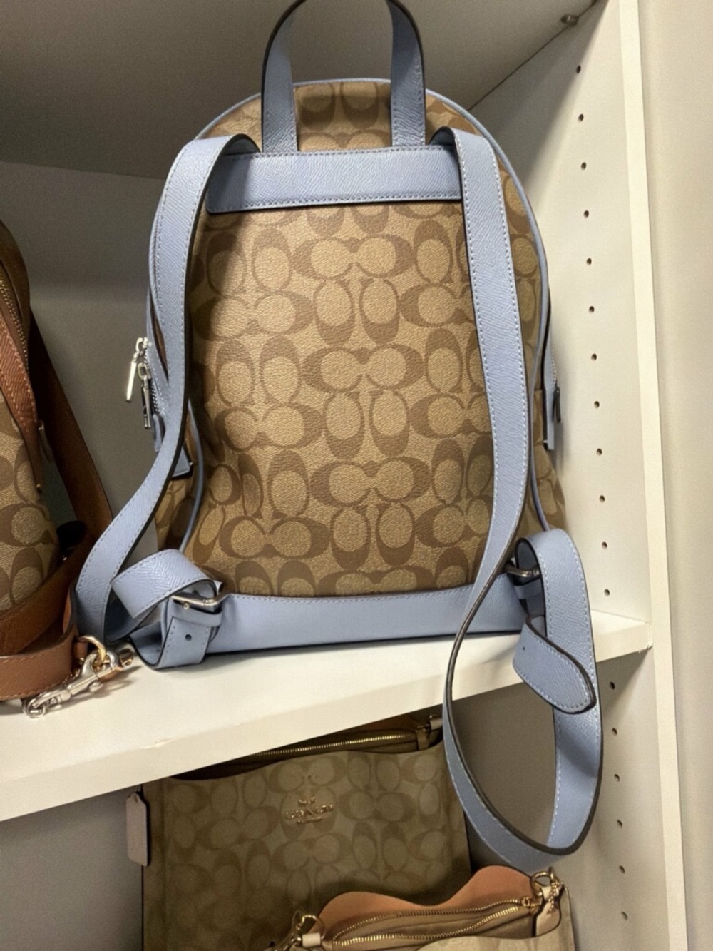 Backpack - Picture 2 of 3